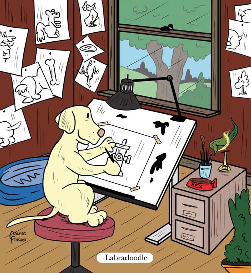 "Labradoodle"