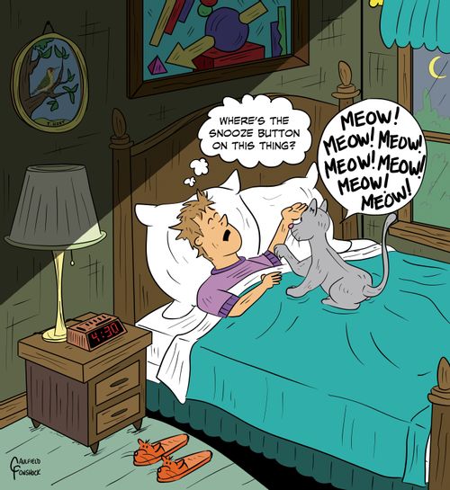 "Where's the snooze button on this thing?"  "Meow! Meow! Meow! Meow! Meow! Meow!"