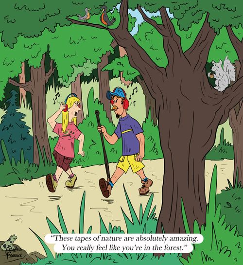 "These tapes of nature are absolutely amazing. You really feel like you're in the forest."