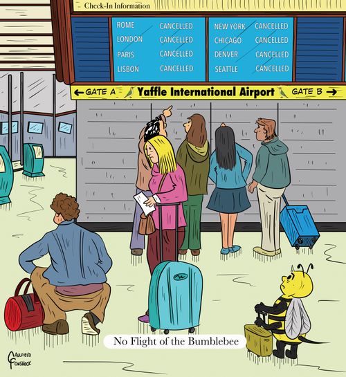 "No flight of the Bumblebee"