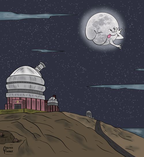 Mooning Moon