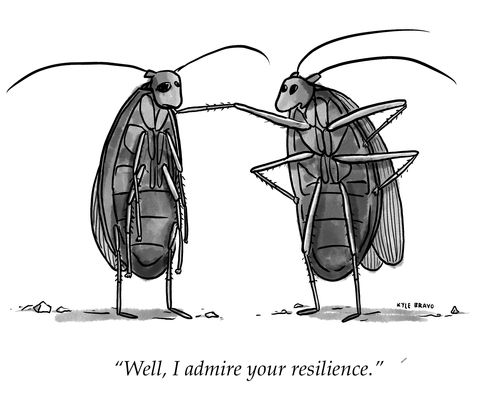 "Well, I admire your resilience."