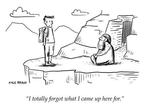 "I totally forgot what I came up here for."