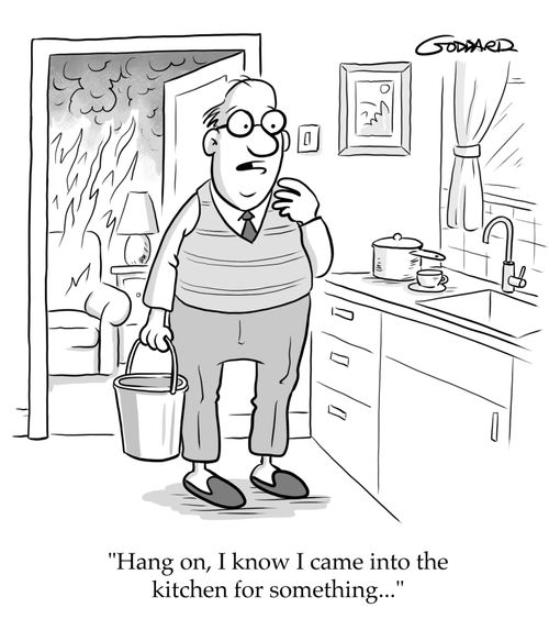 "Hang on, I know I came into the kitchen for something..."