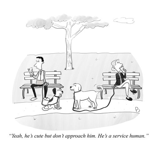 "Yeah, he's cute but don't approach him. He's a service human."