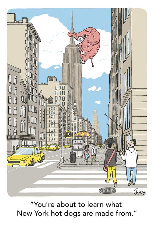 "You're about to learn what New York hot dogs are made from."