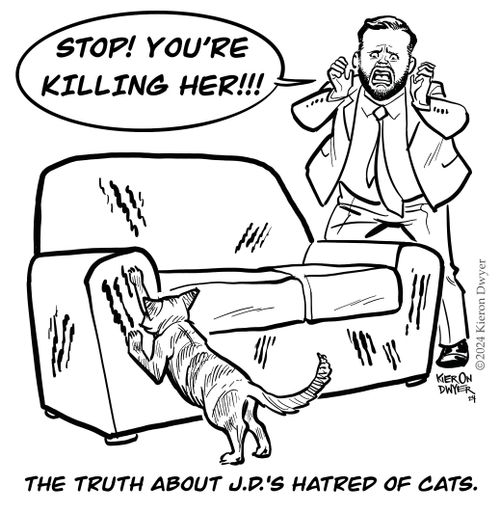 The Truth about J.D.'s hatred of Cats.