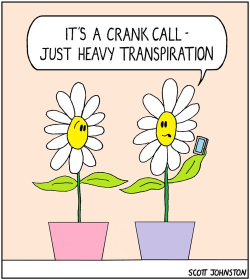 "It's a crank call - just heavy transpiration."