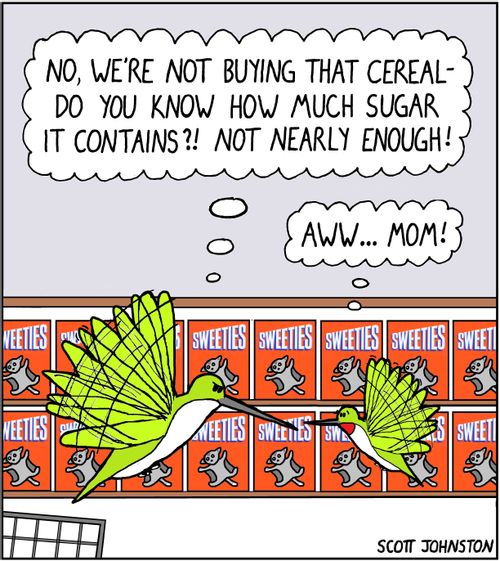 "No, we're not buying that cereal - do you know how much sugar it contains?! Not nearly enough!"