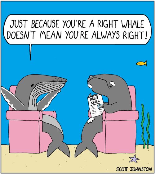 "Just because you’re a right whale doesn’t mean you’re always right!"