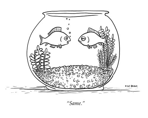 "Same."
