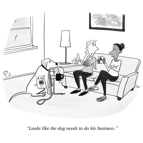"Looks like the dog needs to do his business."