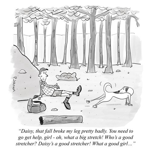 "Daisy, that fall broke my leg pretty badly. You need to go get help, girl - oh, what a big stretch! Who’s a good stretcher? Daisy’s a good stretcher! What a good girl…"