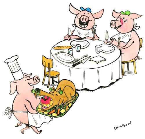 Hungry Pigs