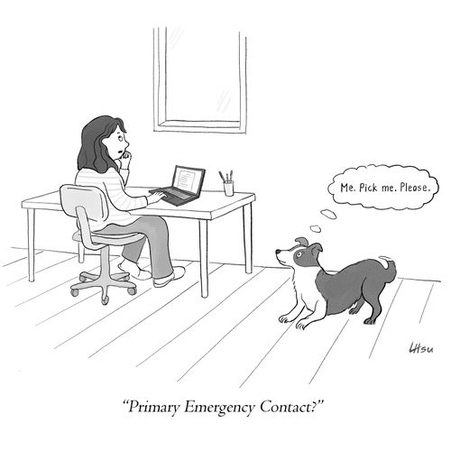 "Primary Emergency Contact?"