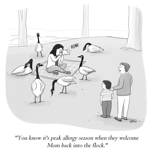 "You know it's peak allergy season when they welcome Mom back into the flock."