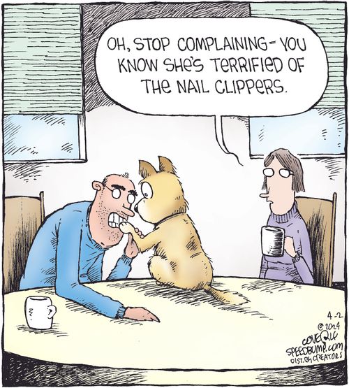 "Oh, stop complaining—you know she's terrified of the nail clippers."