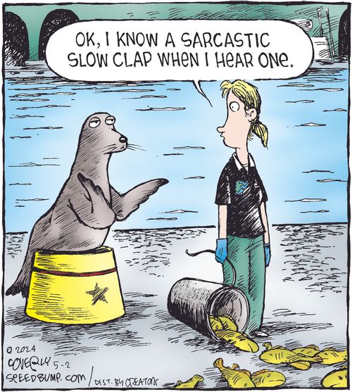 "Ok, I know a sarcastic slow clap when I hear one."