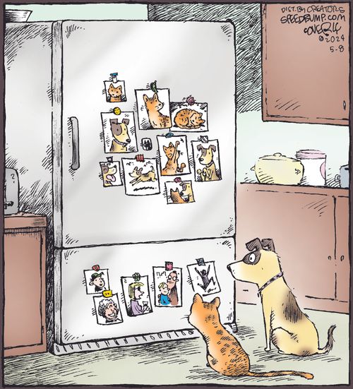 Pet Fridge Photos