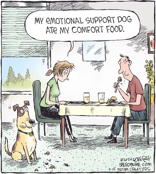 "My emotional support dog ate my comfort food."