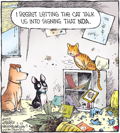"I regret letting the cat talk us into signing that NDA."