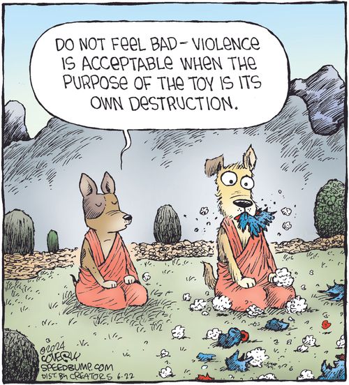 "Do not feel bad - violence is acceptable when the purpose of the toy is its own destruction."