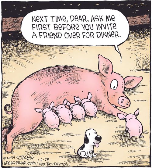 "Next time, dear, ask me first before you invite a friend over for dinner."
