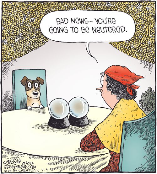 "Bad news - you're going to be neutered."