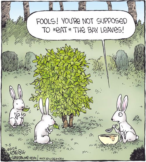 "Fools! You're not supposed to *eat* the bay leaves!"