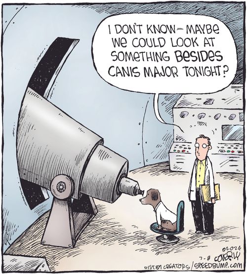 "I don't know—maybe we could look at something besides Canis Major tonight?"
