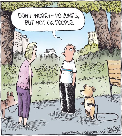 "Don't worry - he jumps, but not on people."
