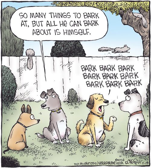 "So many things to bark at, but all he can bark about is himself."
