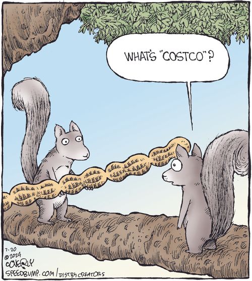 "What's 'Costco'?"