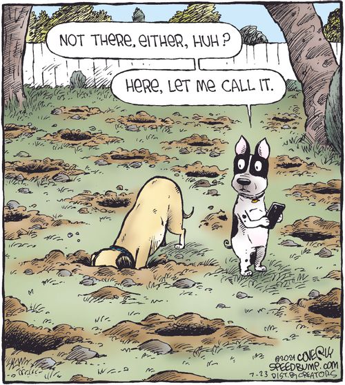 "Not there, either, huh? Here, let me call it."