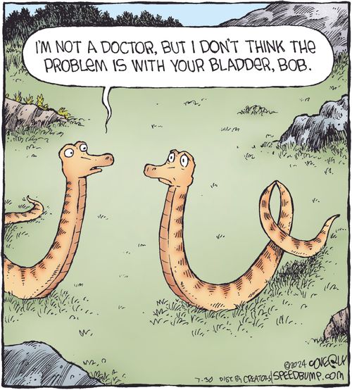 "I'm not a doctor, but I don't think the problem is with your bladder, Bob."