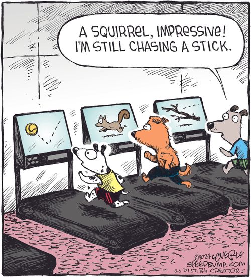 "A squirrel, impressive! I'm still chasing a stick."