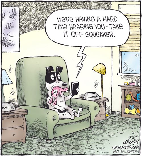 "We're having a hard time hearing you - take it off squeaker."