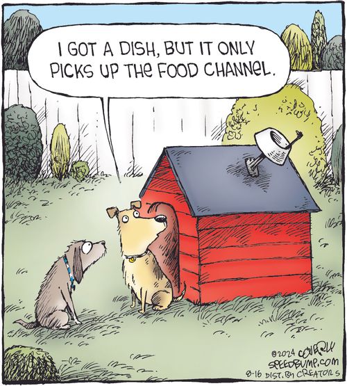 "I got a dish, but it only picks up the Food Channel."