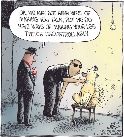 "OK, we may not have ways of making you talk, but we do have ways of making your leg twitch uncontrollably."