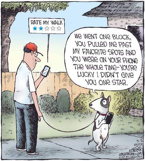 "Rate my walk."  "We went one block, you pulled me past my favorite spots and you were on your phone the whole time—you're lucky I didn't give you one star."