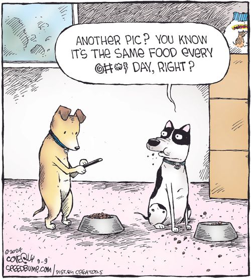 "Another pic? You know it's the same food every [censored] day, right?"
