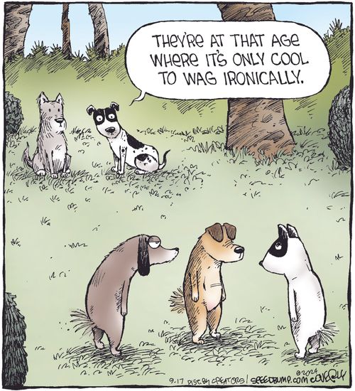 "They're at that age where it's only cool to wag ironically."