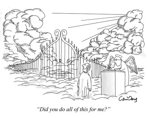 "Did you do all of this for me?"