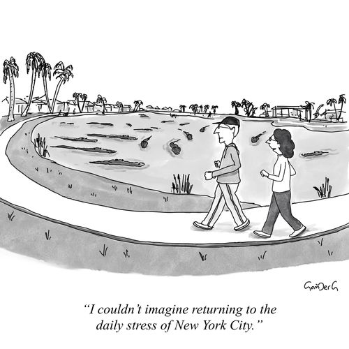"I couldn't imagine returning to the daily stress of New York City."