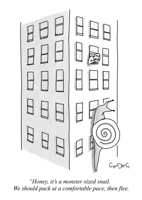"Honey, it's a monster sized snail. We should pack at a comfortable pace, then flee."