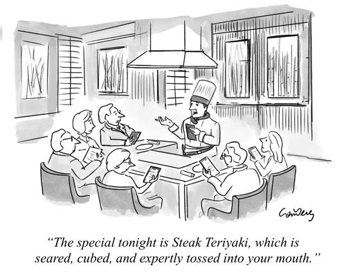 "The special tonight is Steak Teriyaki, which is seared, cubed, and expertly tossed into your mouth.”