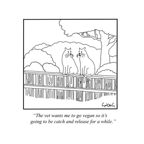 "The vet wants me to go vegan so it's going to be catch and release for a while."