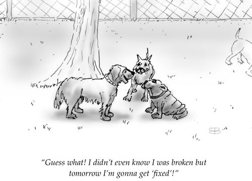 "Guess what! I didn't even know I was broken but tomorrow I'm gonna get 'fixed!'"