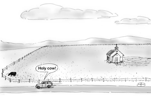 "Holy cow!"
