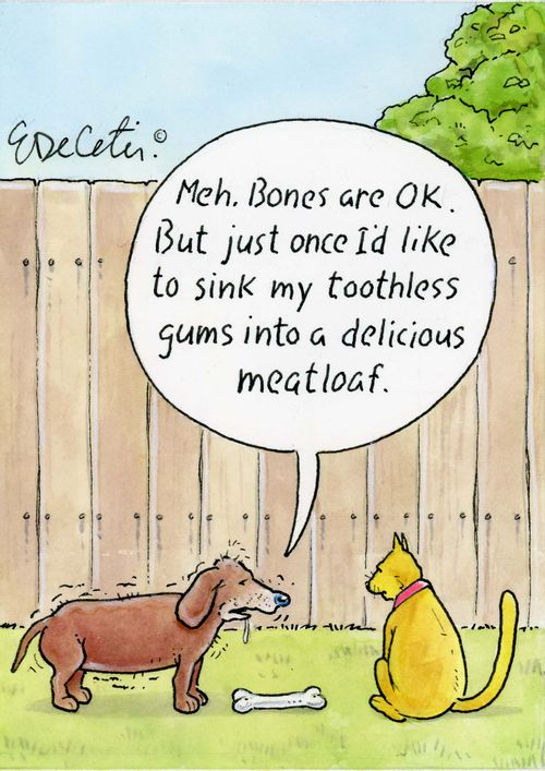 "Meh. Bones are ok. But just once I'd like to sink my toothless gums into a delicious meatloaf."